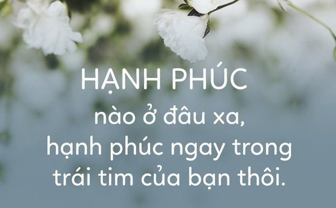 soi cầu Bình Định