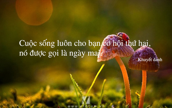 soi cầu Đắc Lắc