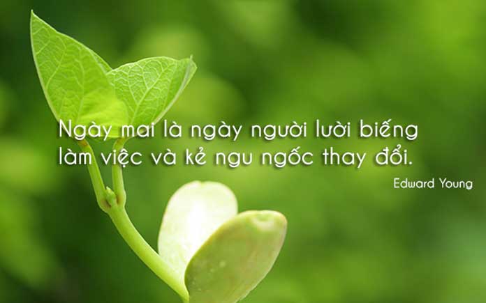 soi cầu Tây Ninh