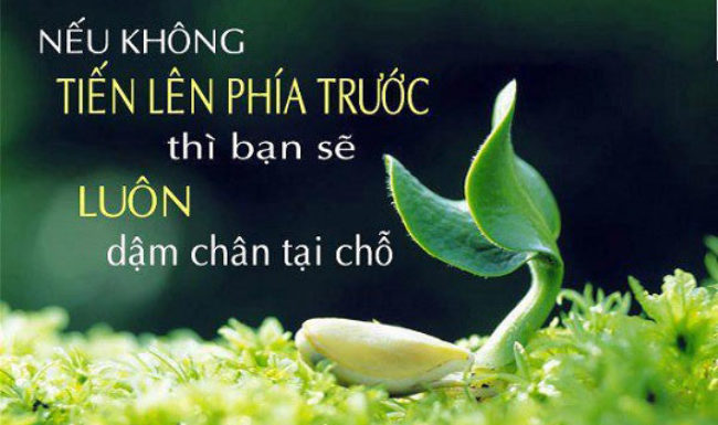 soi cầu Tây Ninh