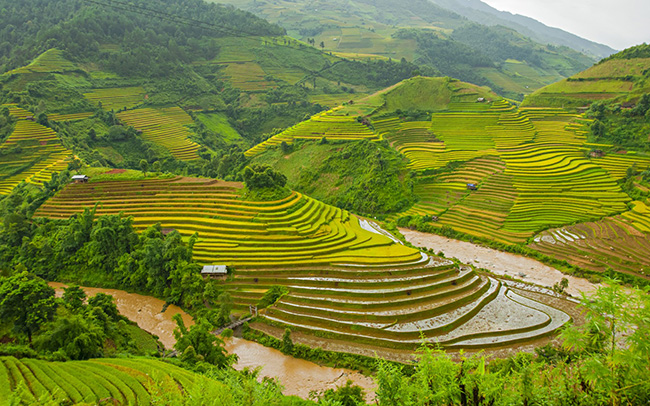 soi cầu Đắc Nông