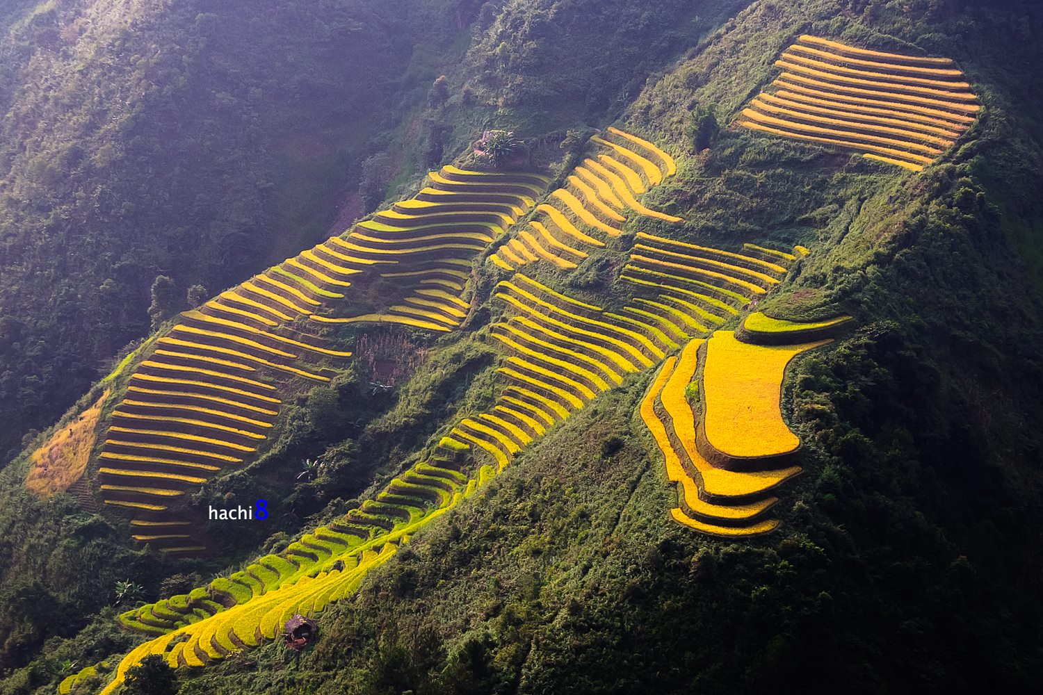 soi cầu Kiên Giang