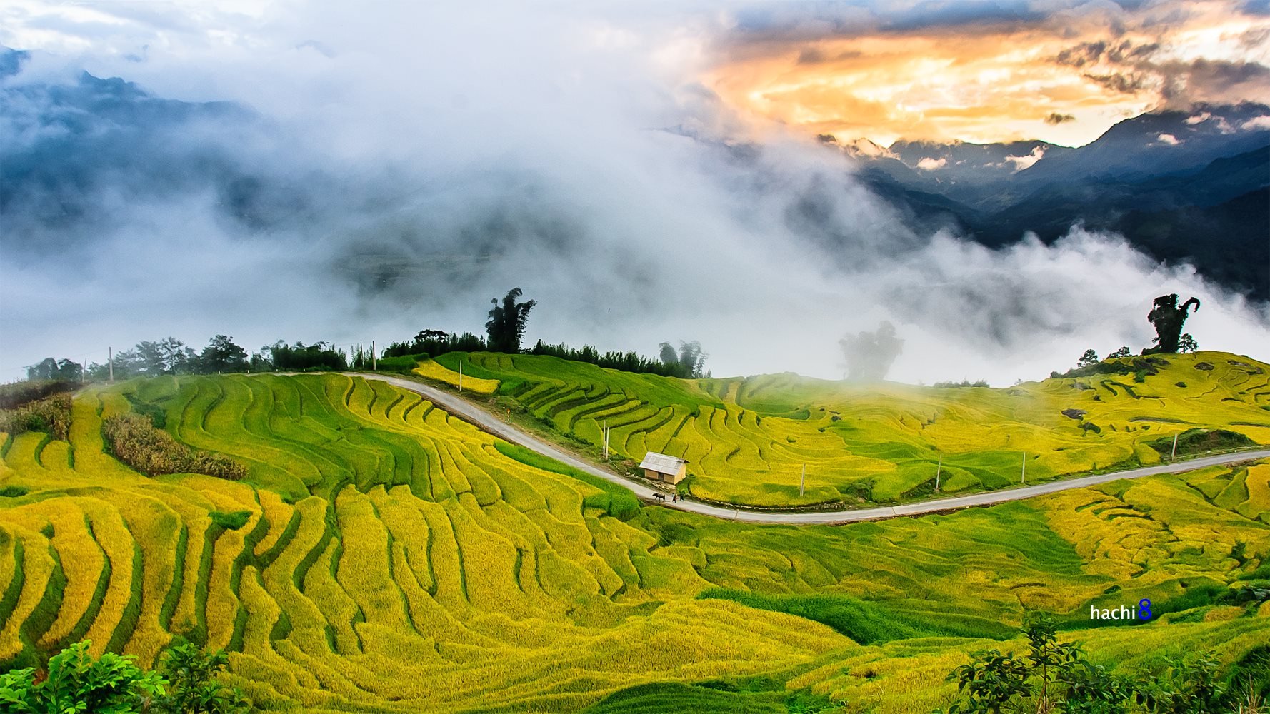 soi cầu Bạc Liêu