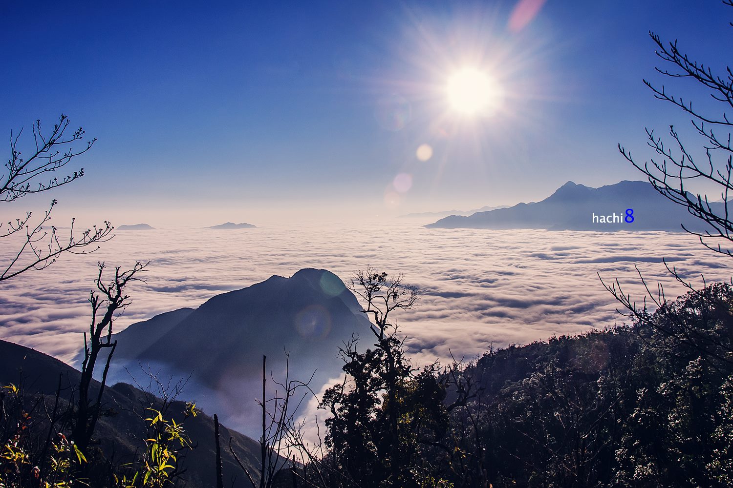 soi cầu Phú Yên