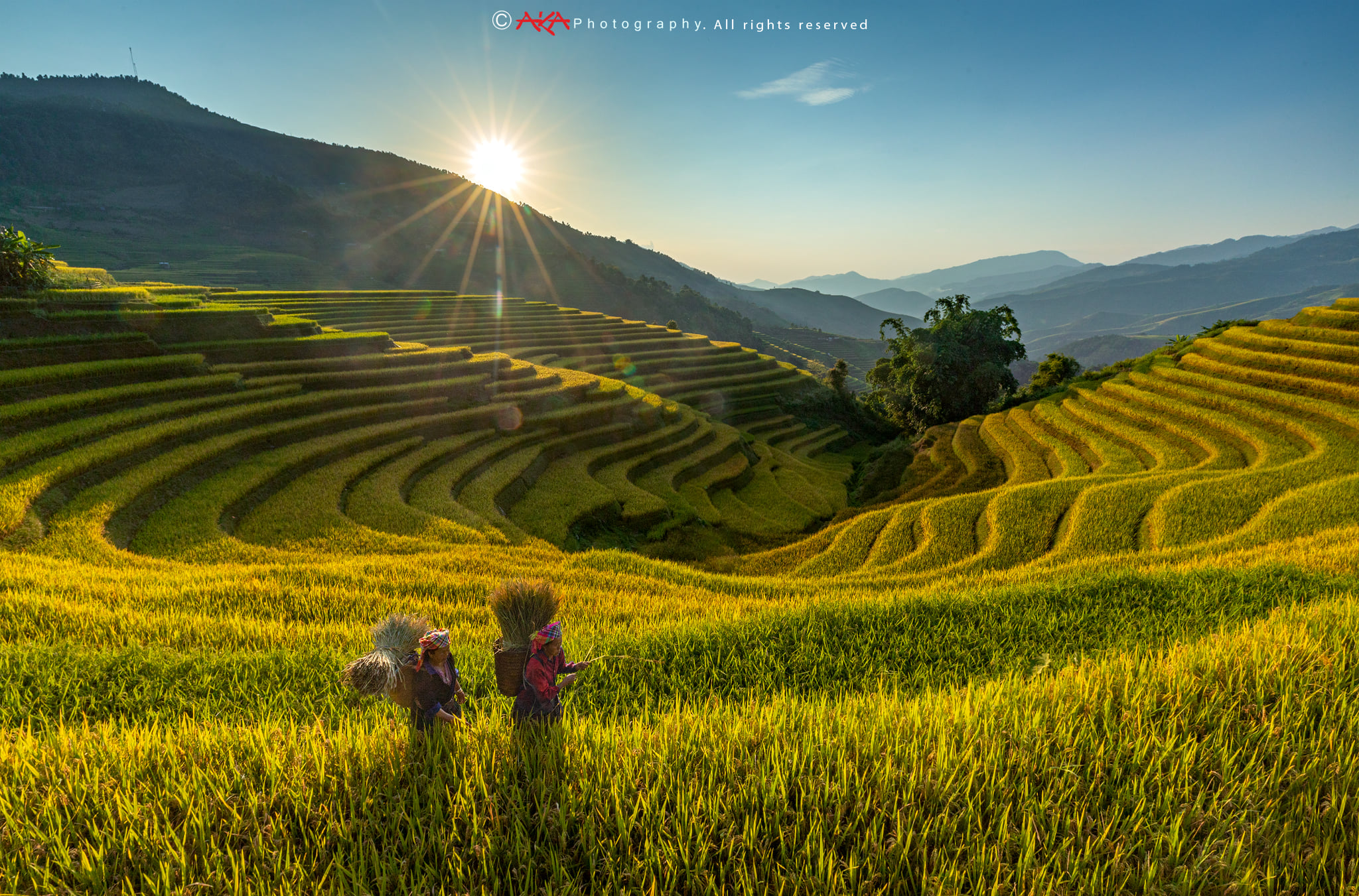 soi cầu Long An