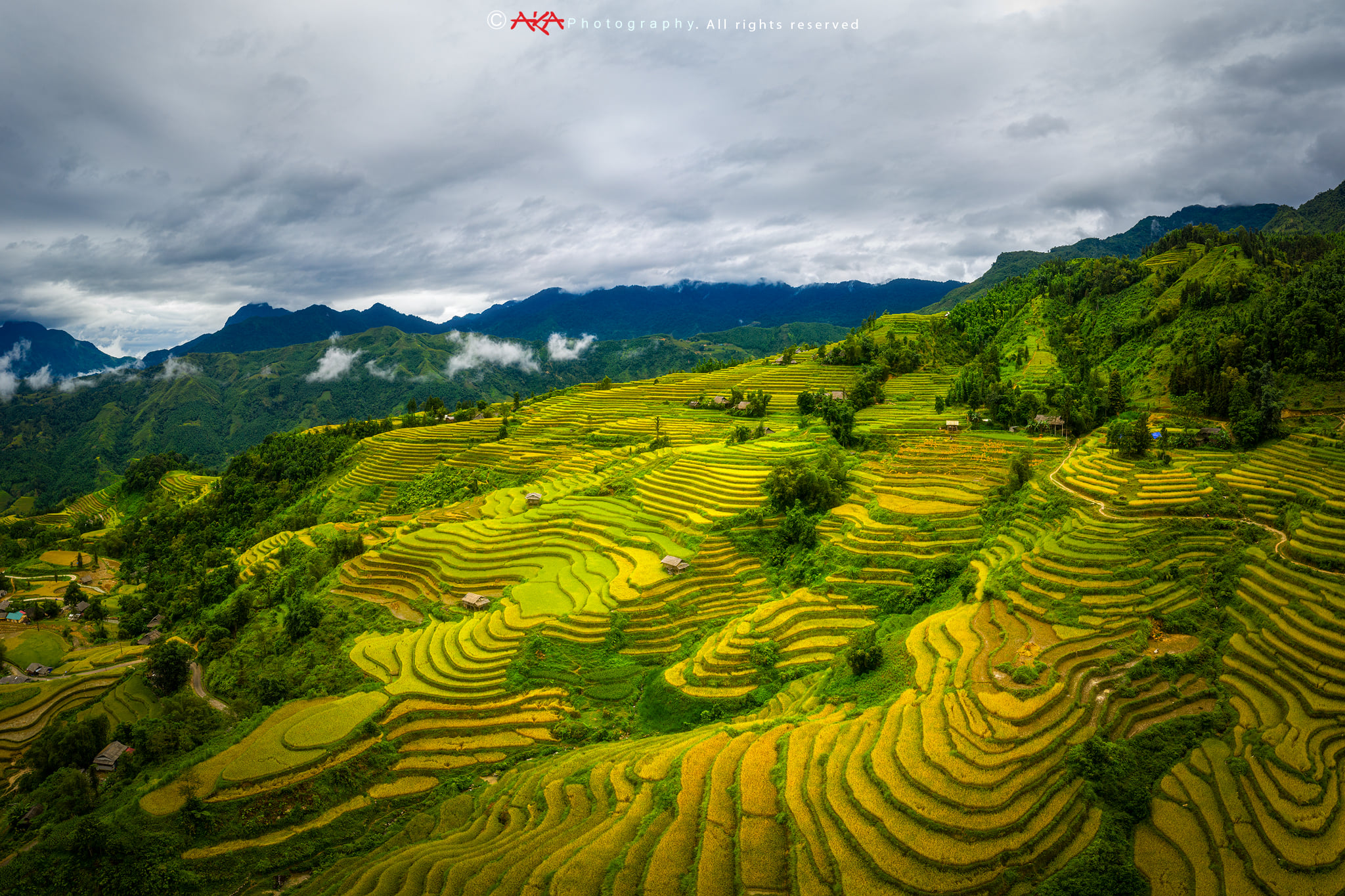 soi cầu Tây Ninh