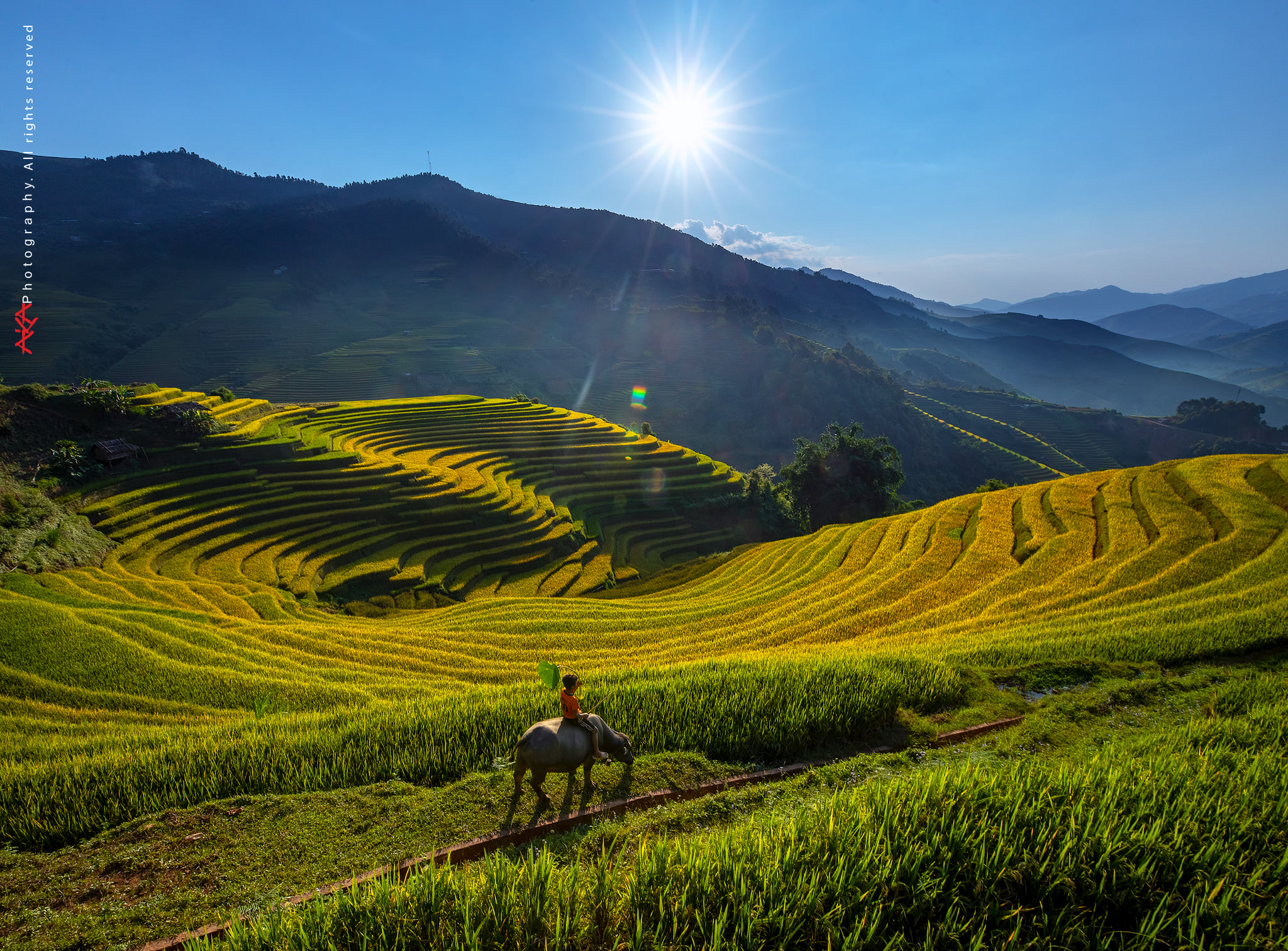 soi cầu Gia Lai