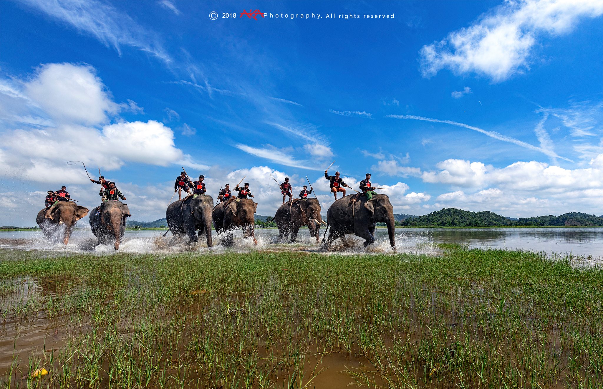 soi cầu An Giang