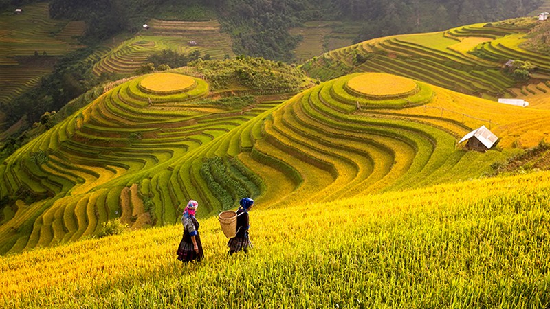 soi cầu Đà Lạt