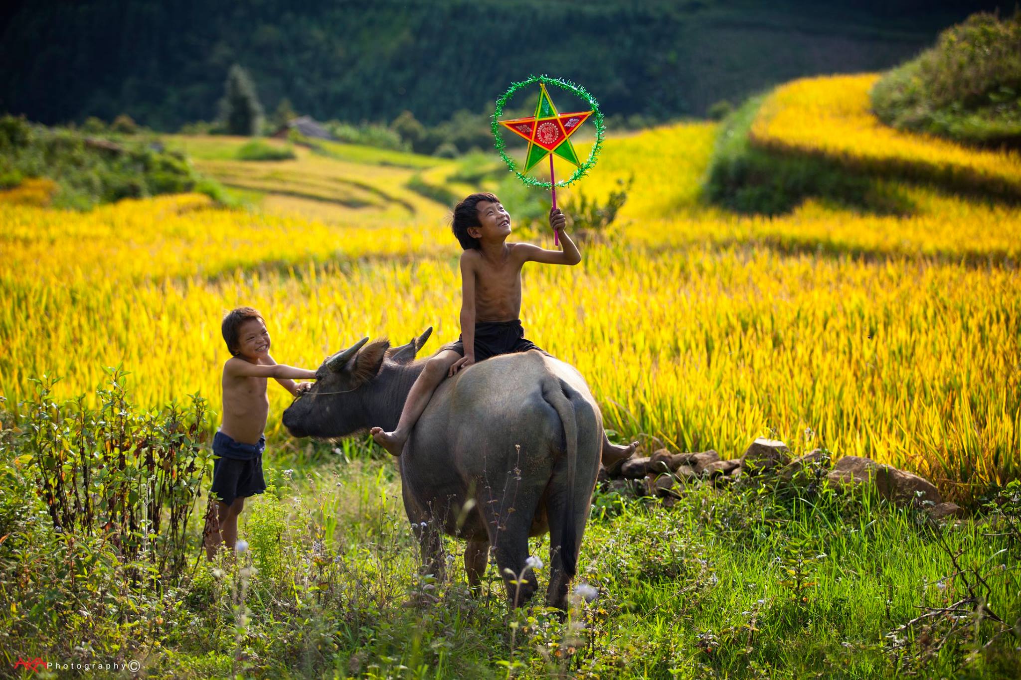 soi cầu Bến Tre