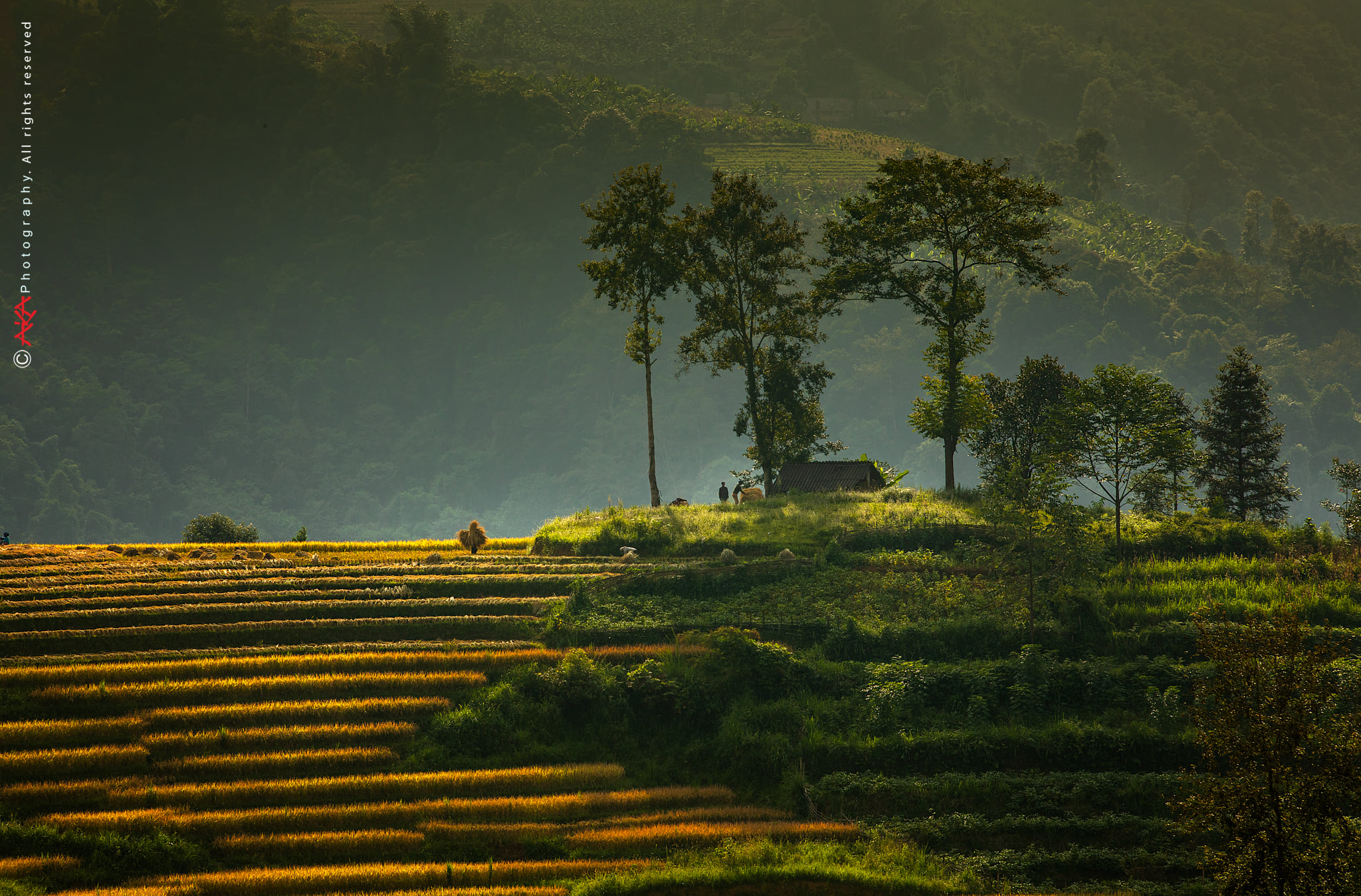 soi cầu Miền Bắc