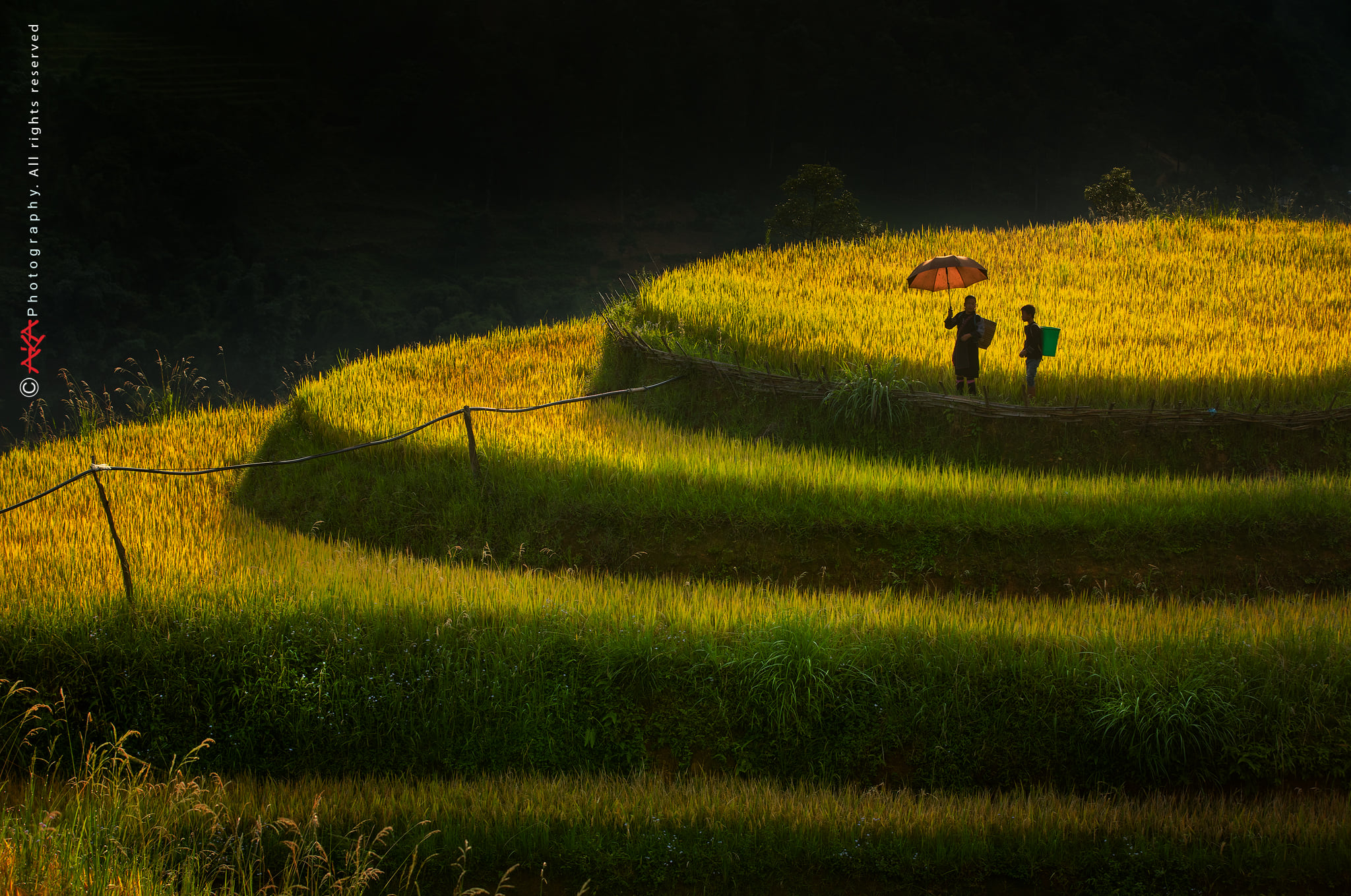 soi cầu Quảng Ngãi