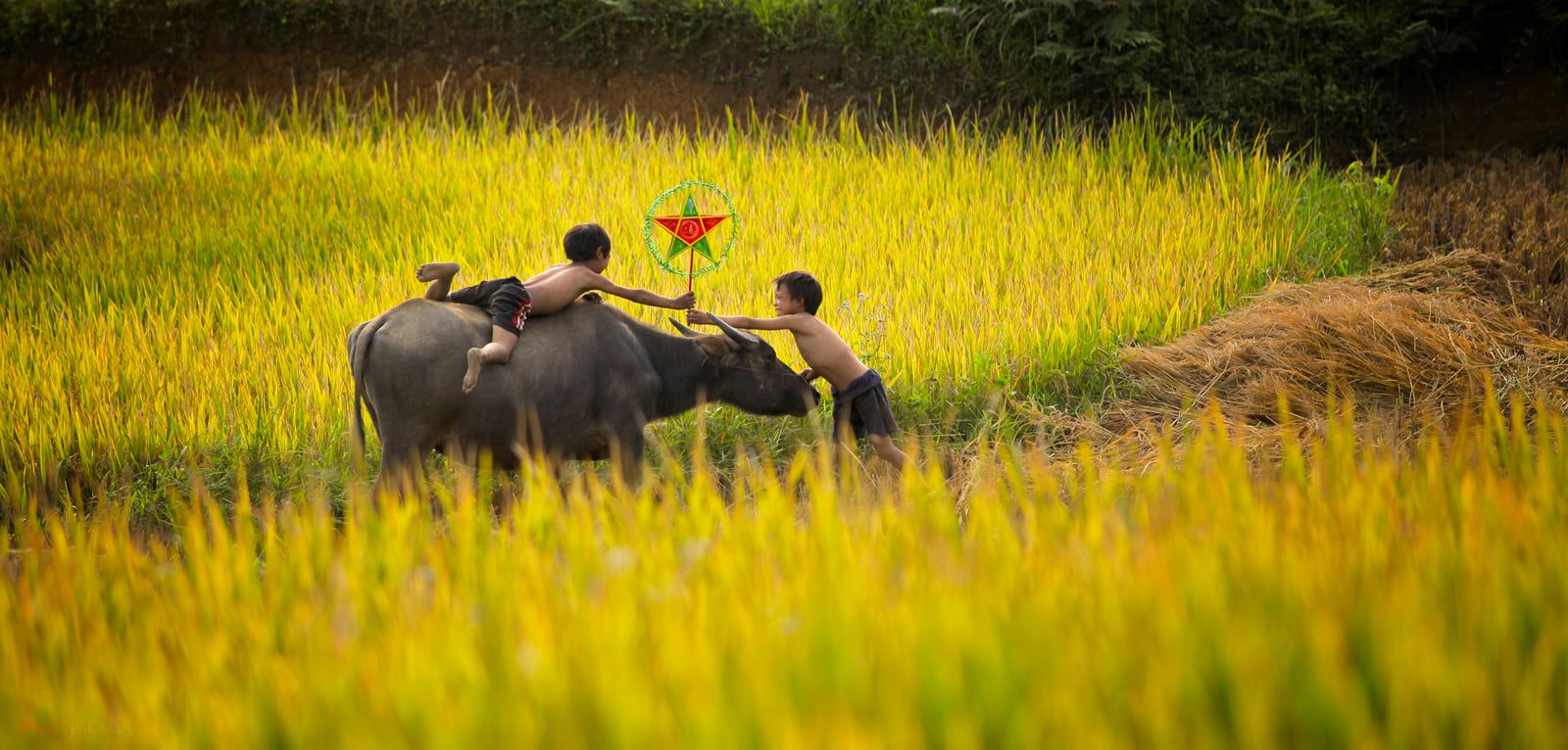 soi cầu Bình Dương