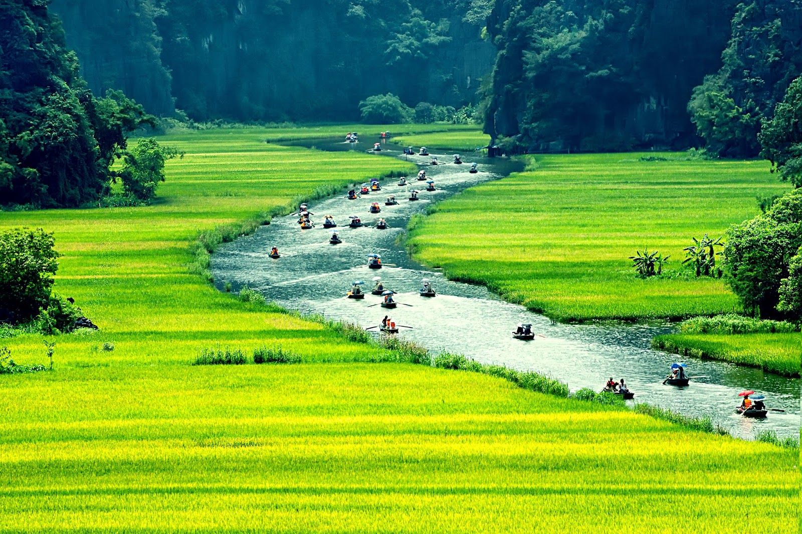 soi cầu Đà Lạt