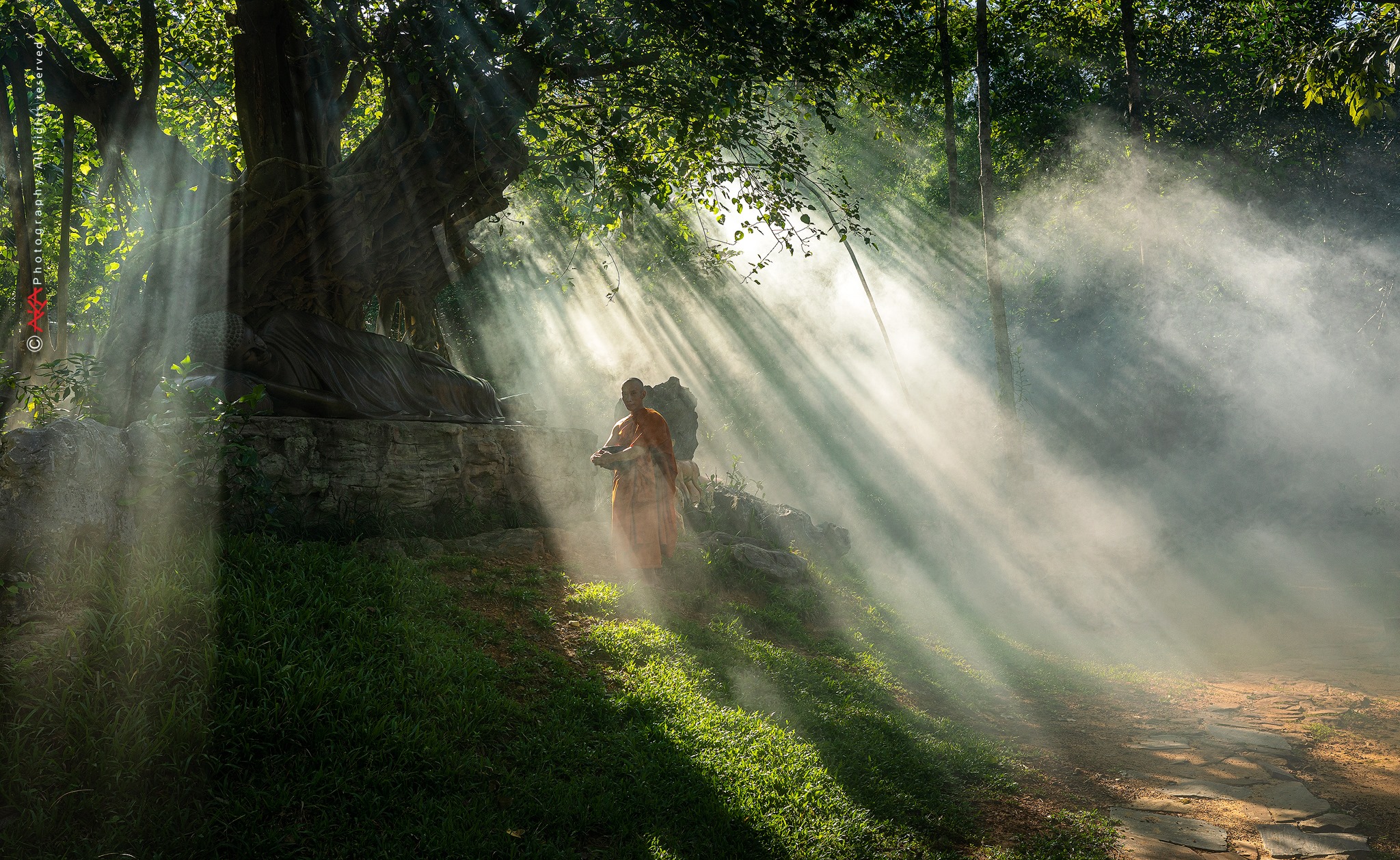 soi cầu Đắc Nông